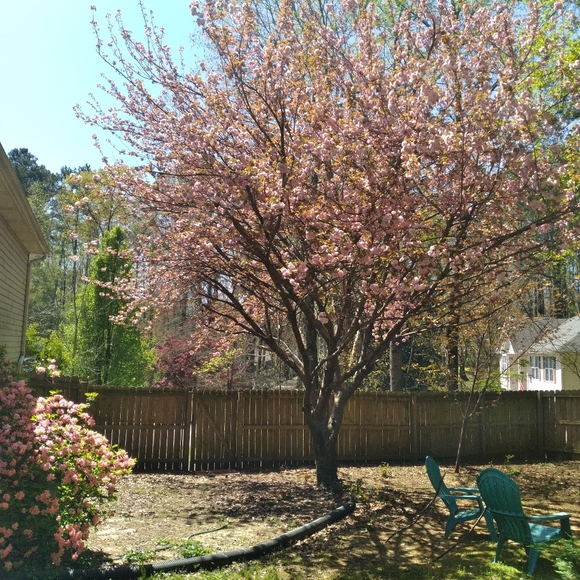 Meet your Posher, Theresa - Picture 2 of 2